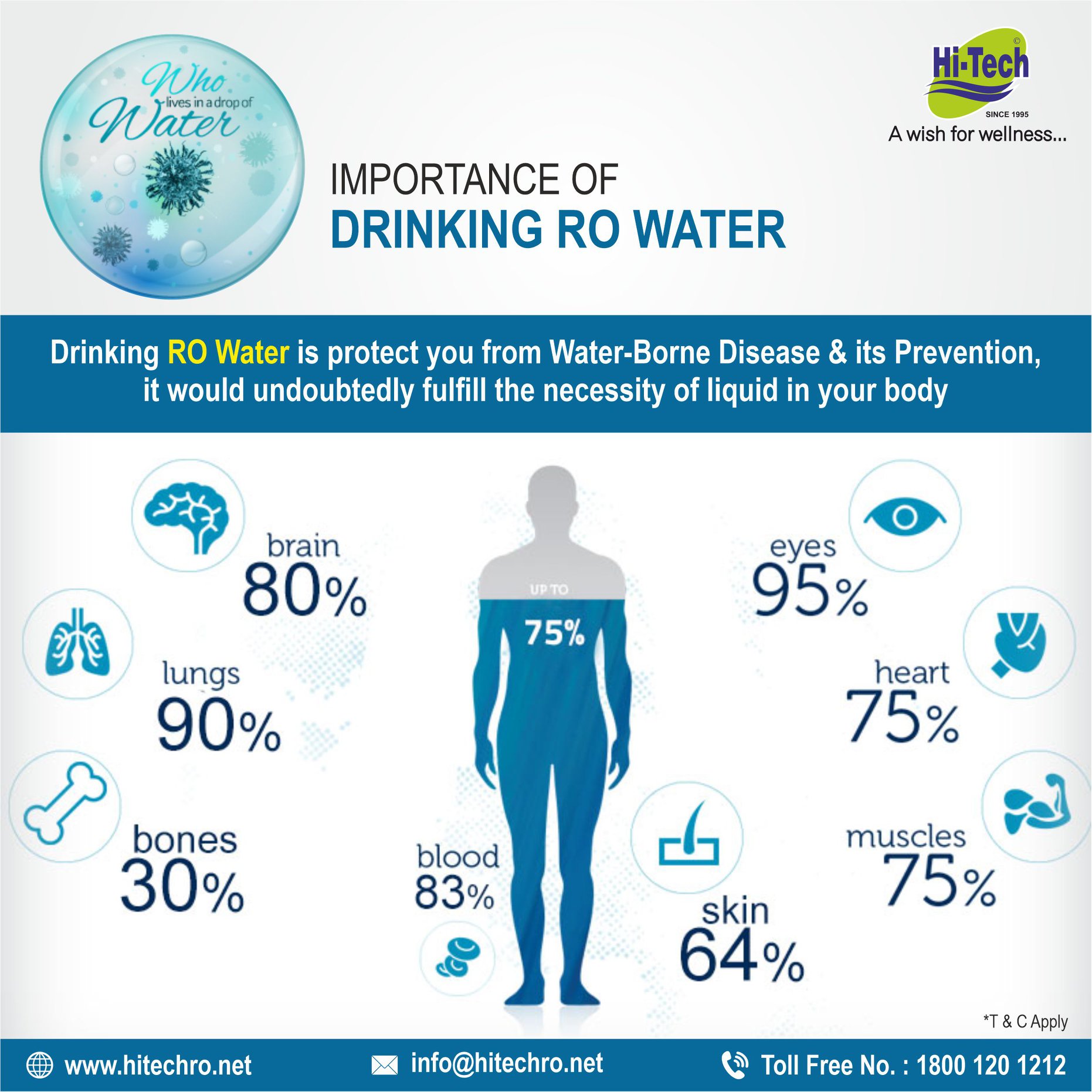 How to maintain a RO water purifier and why is it important?